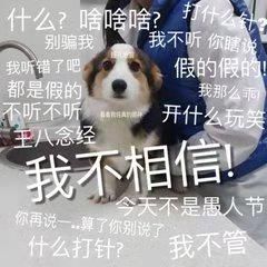 居然|专升本报名居然又又又鸽了！究竟什么时候开始？快来看看招办的最新回复！