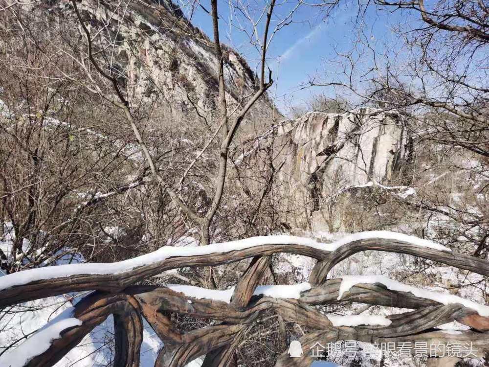 辞旧迎新登高翠华山 赏雪景看晴空万里