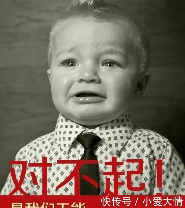 文学|网易退出双11、凡尔赛文学借势……“反向营销”成品牌热宠?