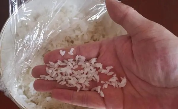 秋钓野钓大鲫鱼的神奇饵料,小鱼不沾,只钓大鲫