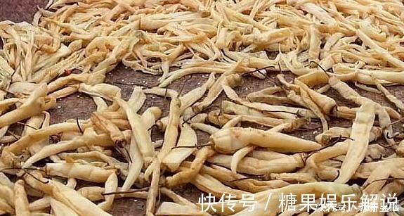 辣椒|它一年四季不贵，多买些晒一晒，密封一存，放2周再吃，太下饭了