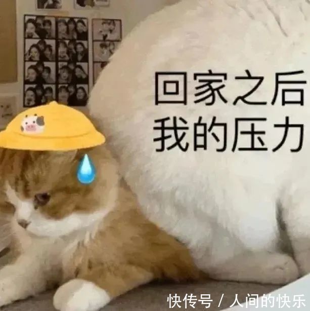 |搞笑沙雕表情包:斗图没有这些 缺少一半的乐趣