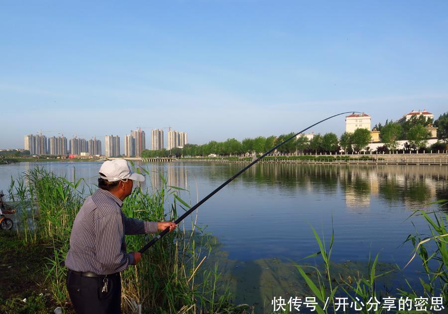 垂钓|野钓时,钓椅、钓箱、马扎哪个更实用听听老钓友怎么说
