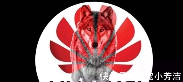 骨干|华为凭什么赢?为了胜利:退休骨干零工资重返前线,行内人才请求降薪上岗!