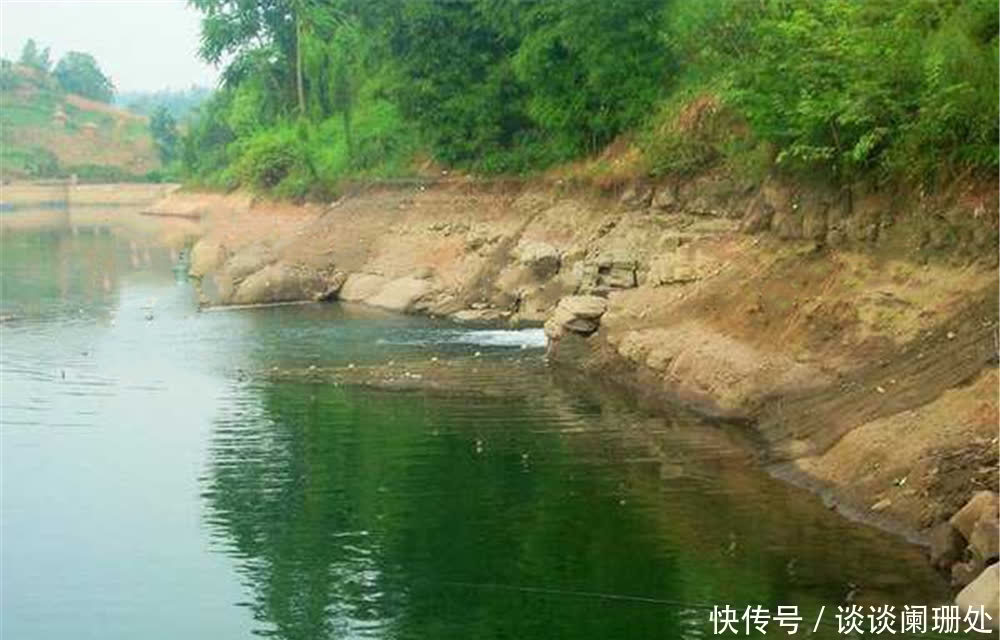 钓位|夏季野钓,钓位选择的“3字秘诀”,满足其中一点,就容易钓到鱼