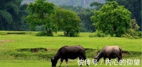 潘仝|落魄秀才发现一个风水宝地，自尽于此，从此家族富贵八百年