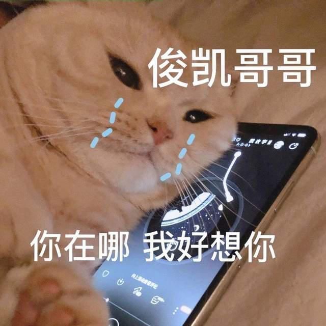 闭关的王俊凯，绝对不知道，他不营业时粉丝的状态是怎样的吧