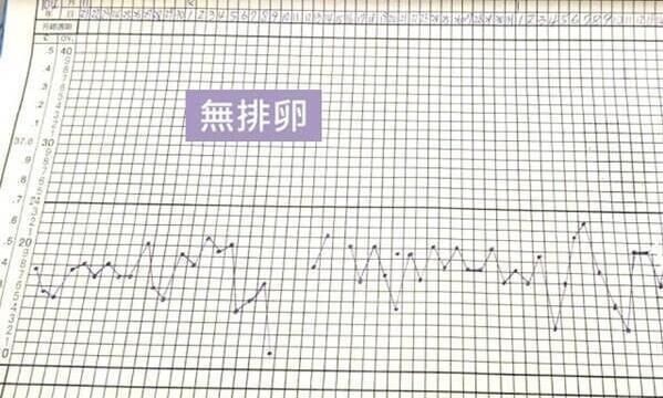 36 8度算怀孕体温吗