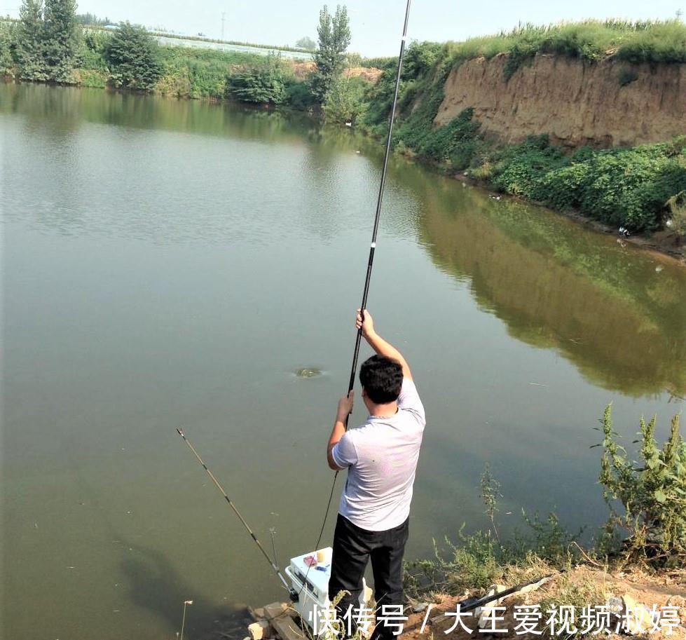 玉米|夏天钓草鱼,掌握简单几点,新手一样连竿