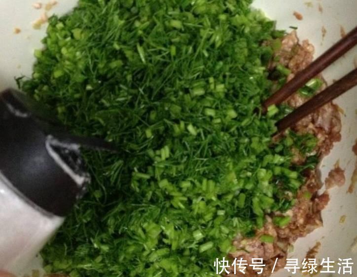 肠胃不好|天冷了,用这菜包饺子,健胃散寒还止痛,肠胃不好的人要多吃