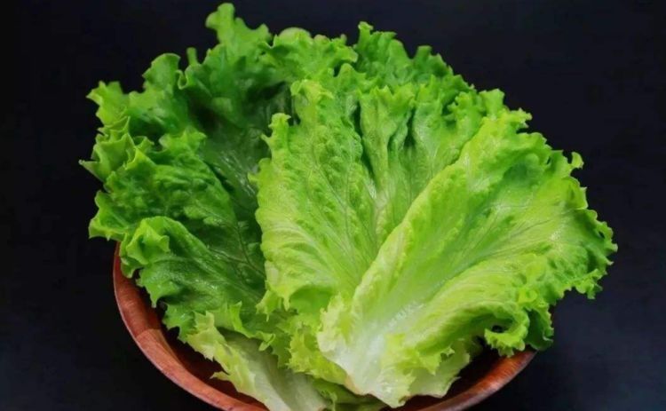 做蚝油生菜，直接下锅炒就错了！大厨教你做，鲜嫩爽口，原汁原味