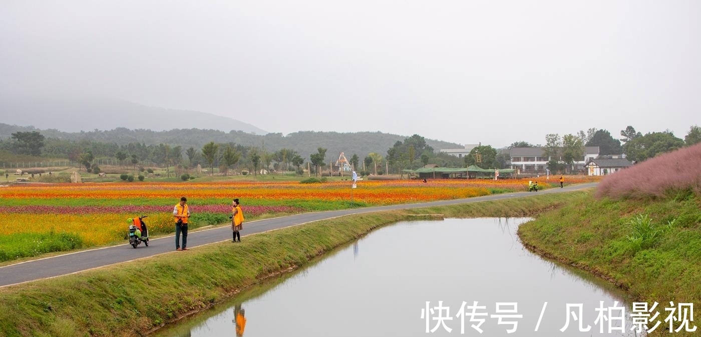 东洼|冬瓜村 一个秋天里五彩斑斓的童话