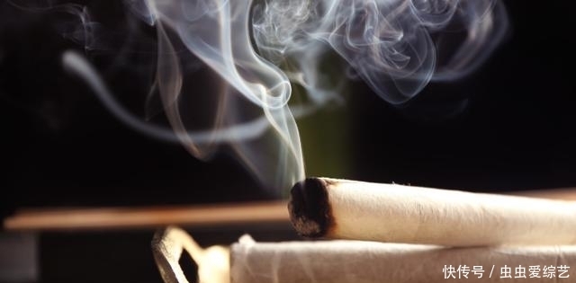 几块钱的艾草堪比神仙草!巧用艾草,越活越健康