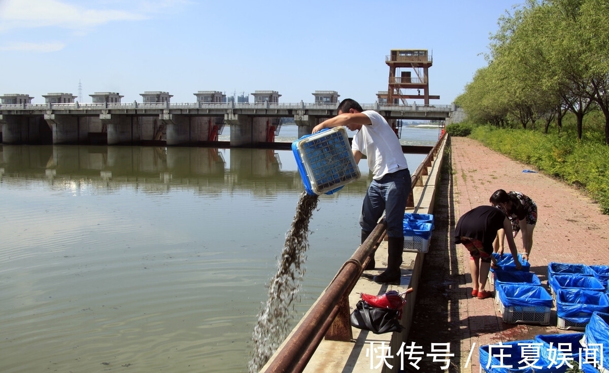 泥鳅打窝没任何害处,全是编的瞎话?钓友:泥鳅党三天能毁一条河
