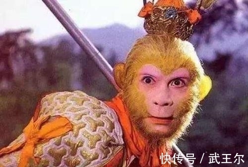 太上老君&孙悟空曾被封为弼马温养马,可神仙们都会驾云,为何还要养天马?