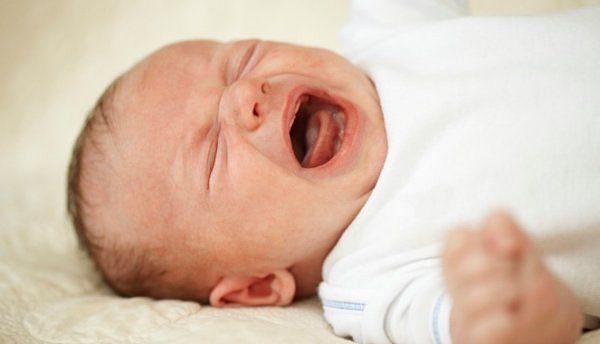 大小便|恼人的“二月闹”怎么办？学会这些顺利度过