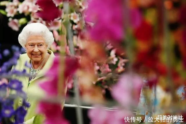 凯特难得穿一次贵衣服！曾被曝一年置装费才62万，而梅根是她六倍