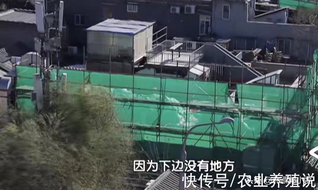 鸽子|“第五立面”该拆吗？北京居民：没事谁往高处看，相关部门必须拆