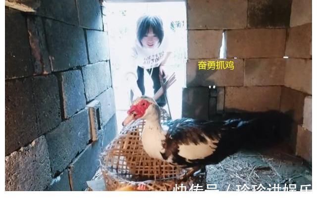 陈赫李诞又懒又吵,和下期女嘉宾对比鲜明,何炅和观众都给出好评