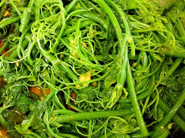 缺乏症|提醒大家此菜正当季,还不要钱,遇到多吃些,对脾胃好又排毒