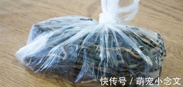 冰糖|这5种蔬菜晒干后，比新鲜的好吃太多！炖肉炒菜都行，放1年不坏