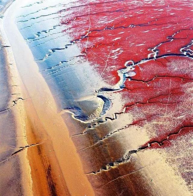 中国最美六大沼泽湿地,养在深闺无人识,去过的都惊叹不已