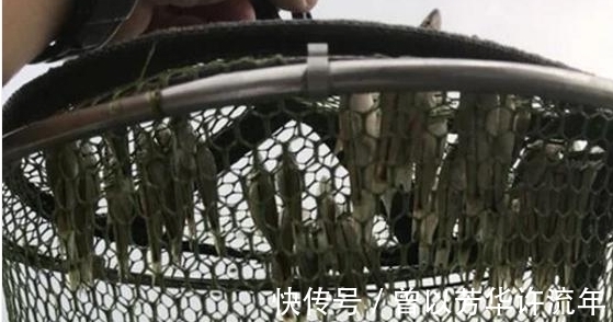 小伙外出钓鱼，当收起渔网，小伙被这些鱼弄蒙了