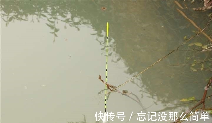 鱼口杂乱无实口，调低钓高这么调，马上竿竿都是死口