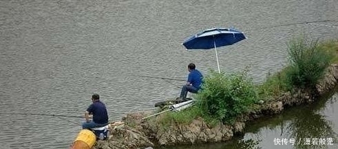饵料|初夏爆护的3个“绝学”,既简单又实用,一时性急就给透露了