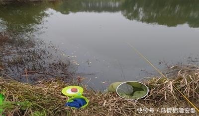 朝天钩|冬季传统钓上鱼多,朝天钩的功劳多,解析朝天钩在冬钓的优缺点