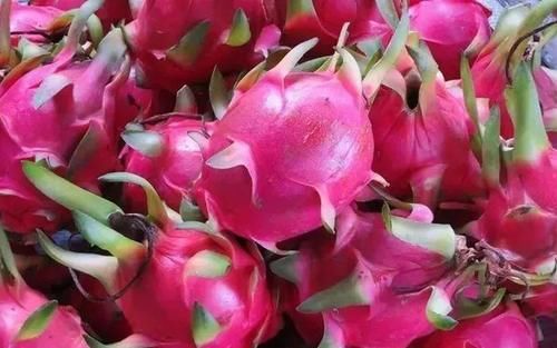 黄小米|孩子积食反复,建议少碰“2红”,多食“2黄”,消化好不积食