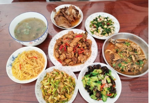 荤素|媳妇勤俭持家,9人饭菜,7天不重样,荤素搭配,有滋有味很下饭