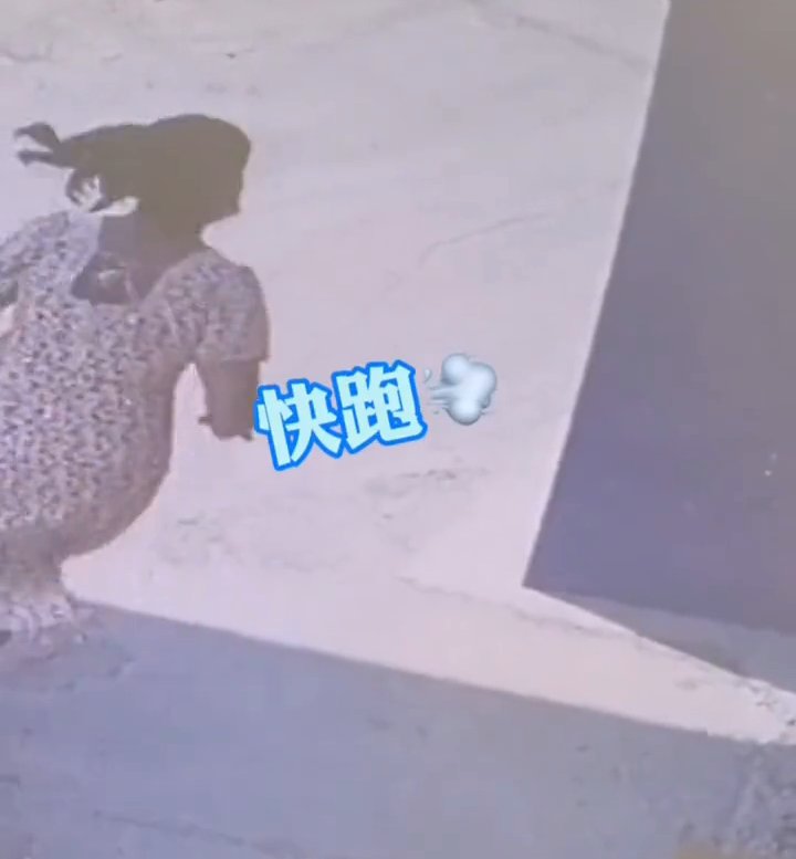 消防队|小姐姐拎奶茶冲进消防队：“可以介绍一个小哥哥认识吗？”