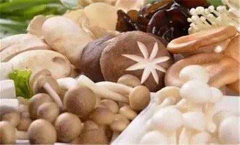 膳食纤维|除了芹菜,这几样食物膳食纤维也不少,不妨多吃