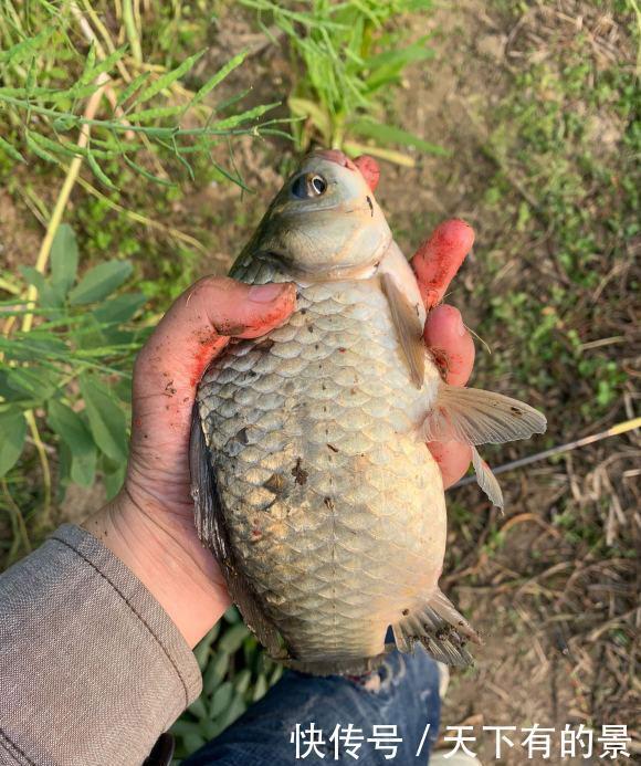 钓鱼遇到这几件事大概率会走空,虽然不科学但真的很常见