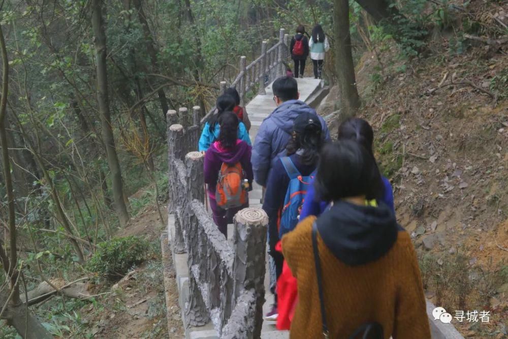 更喜南山千倾野，卅公里后尽开颜