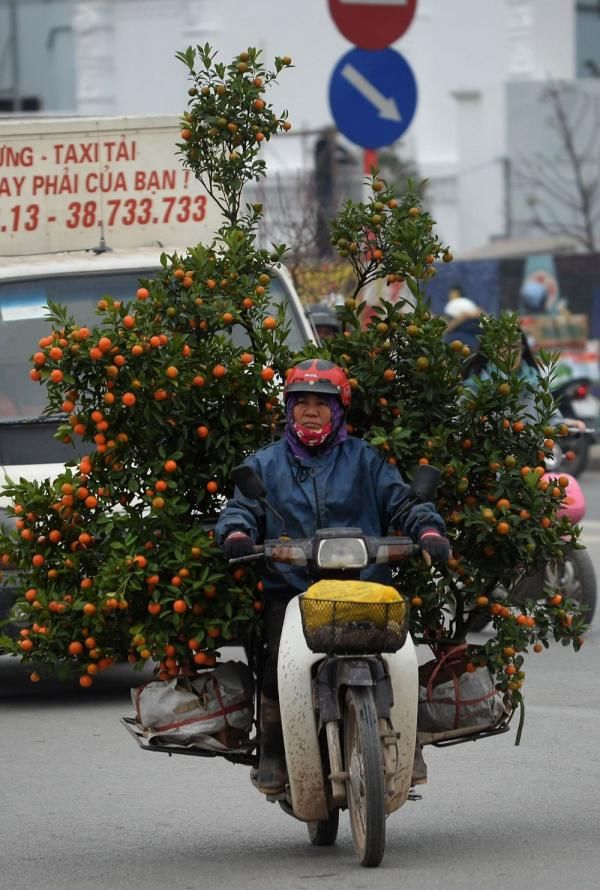 中年|这个年夜饭吃粽子的国家,居然还有人属猫?