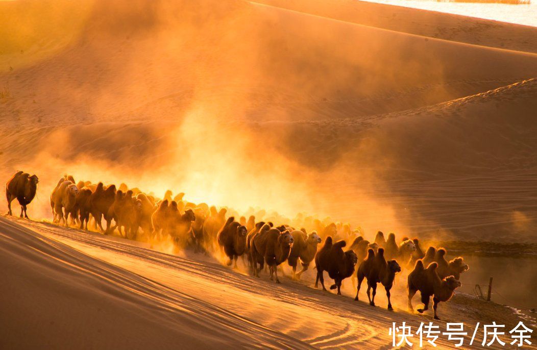 羁旅|范仲淹的这首词，开篇便是名句，道尽了秋天的美