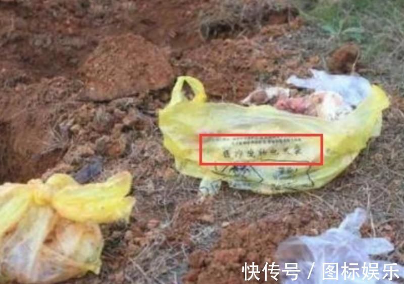 人工|人工拿掉的“胎儿”去哪了?看到这几个处理方式,眼里仿佛进了沙子