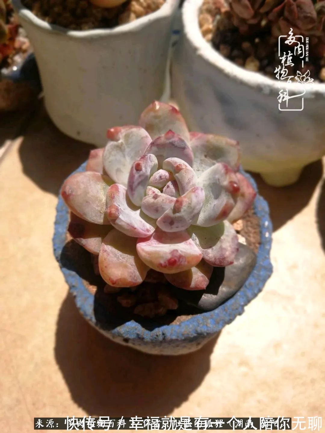 爱这一片缤纷的色彩,因为我们都是好色之徒!