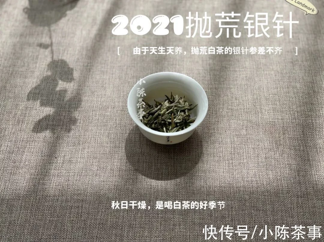 这才是我们小陈茶事的“双11”，是的，我们的，当然也是茶友们的