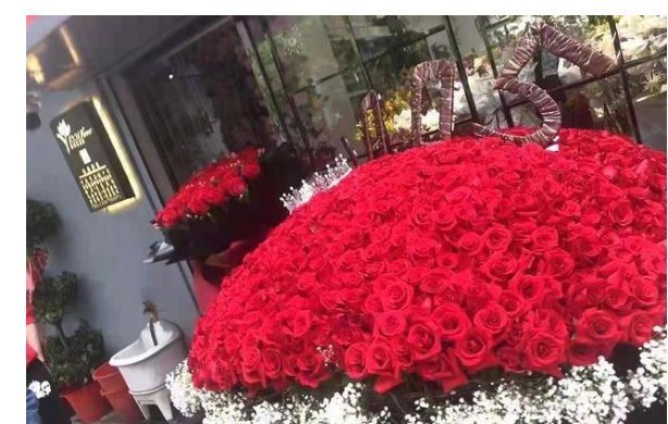 紅玫瑰|1005朵玫瑰花束,場外是送給肖戰的紅海,然而粉絲卻食言了