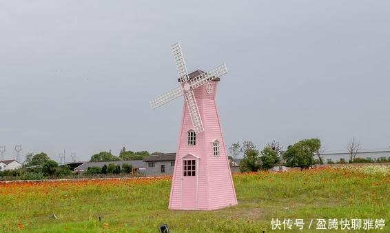 花海|去浙江旅游别只知道西湖，湖州这片花海人少景美，还很少人知道