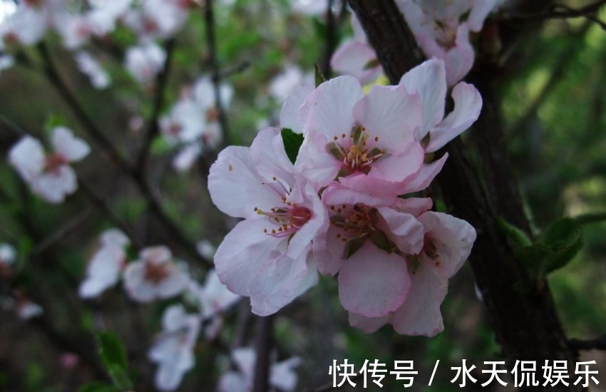 生肖女|从不占小便宜的四个生肖女，温柔漂亮有气质，让男人为之走火入魔