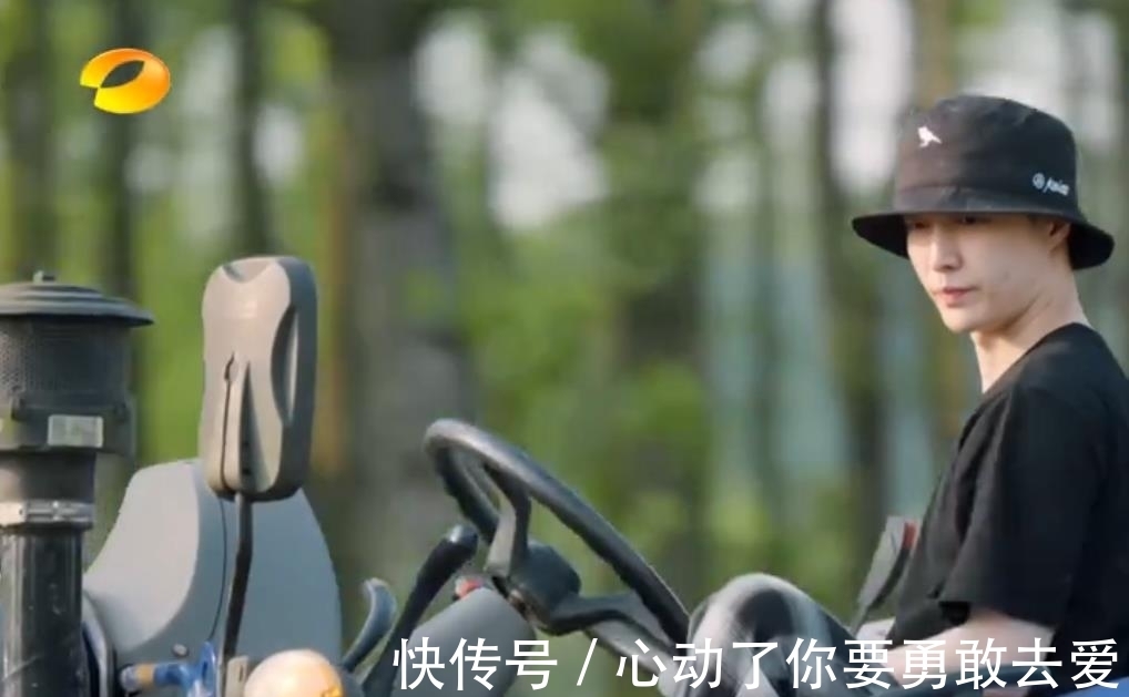 向往的生活5|《向往的生活5》集體勞動種樹,黃雅莉成功出圈,張藝興廣受好評