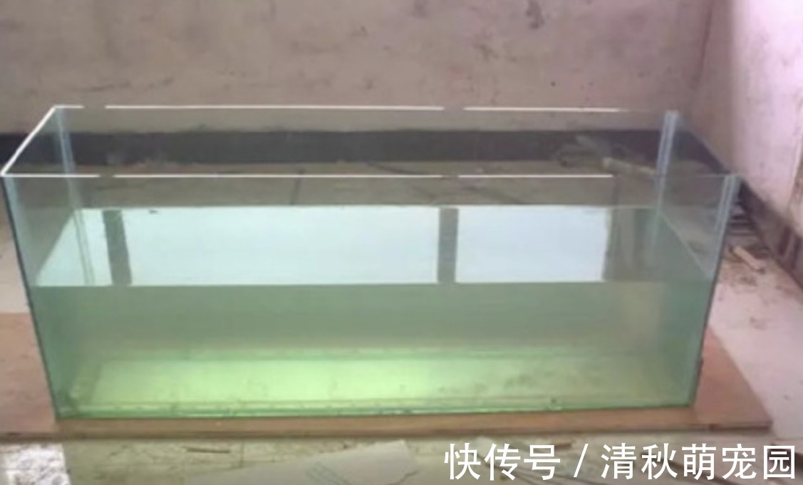 雨水|浇花用什么水好?自来水、雨水、生活废水,哪个更合适?