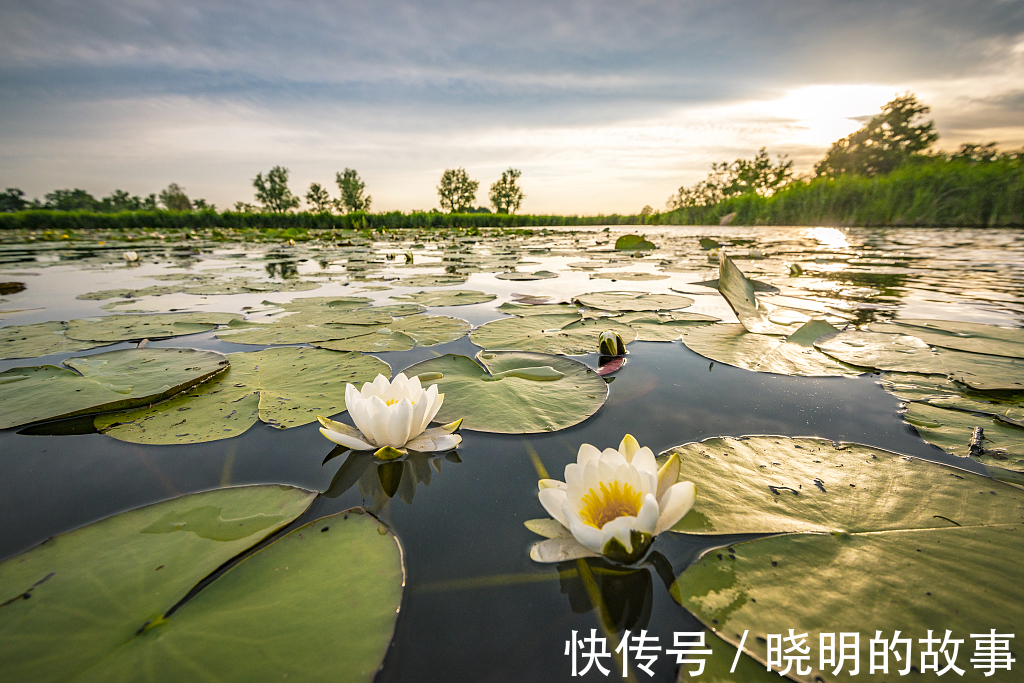 |搞笑时空 我放下的是世界