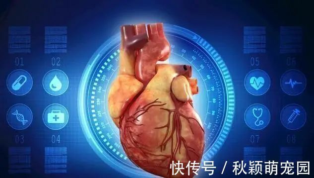 心脏健康|心脏不好的人,身体有“2弱3多”,一个不占,说明心脏比较健康