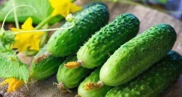 禁忌|黄瓜虽好但不能乱吃,吃黄瓜注意2大“禁忌”,吃错就是害自己!