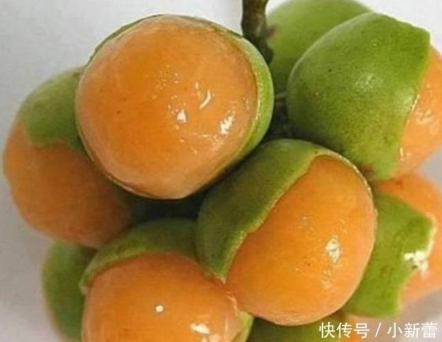 4种“世界级”水果,有钱也不一定吃过,全吃过是“真土豪”